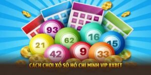 Cách chơi xổ số Hồ Chí Minh Vip 8XBET đơn giản, dễ hiểu nhất hiện nay