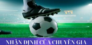 Nhận định của chuyên gia